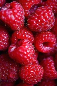 میوه های قرمز